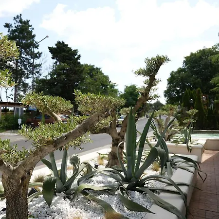 Paradise Bay Hotel 3*